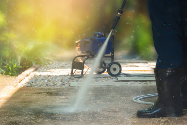 Best Roof Cleaning and Mildew Removal in Rose Hill, KS